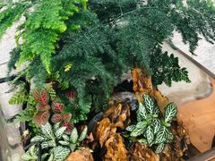 -北马山庄植趣咖啡