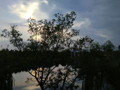 -上海怡沁园度假酒店