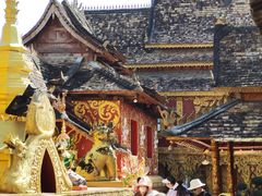 -西双版纳傣族园