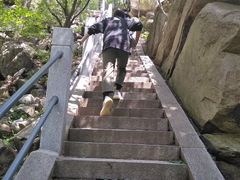 -崂山巨峰游览区