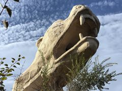 -乌素图国家森林公园