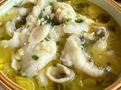 酸辣Q爽鱼片-稻香酒家·33年老字号·港式粤菜(富邦中心店)
