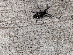 -北京西山国家森林公园