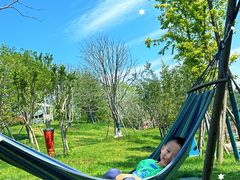 -苏州太湖西山岛开心农场