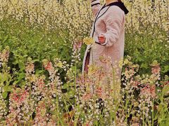 -白鹭湾湿地公园