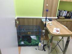 刚出手术室-瑞鹏宠物医院·宠保定点·心脏科·内科(御桥分院)