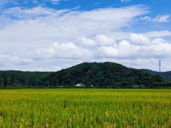 -河姆渡遗址博物馆