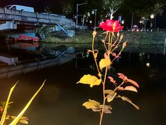 -晓琦农家菜馆·地道农家菜