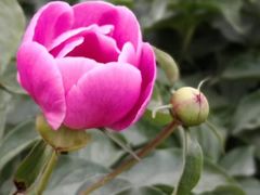 -长春公园(普阳街道)