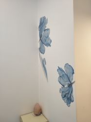 -DEM缔怡美科技美容