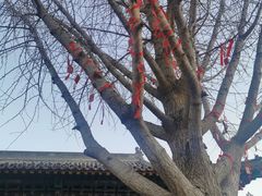 -有喜胶东小馆(太申祥和店)