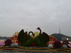 -野狸岛