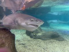 -鸿通城购物中心