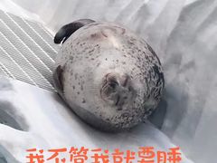 -杭百味·大众精选杭帮菜(西湖音乐喷泉店)