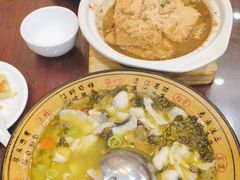 -邵年鸽(杨庄店)