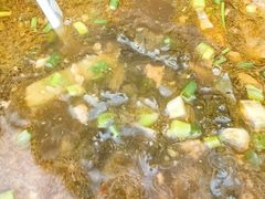 -舌尖上的石棉何雨露烧烤