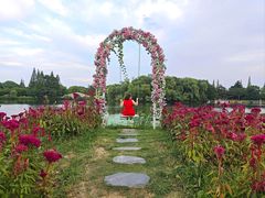 -尚湖风景区
