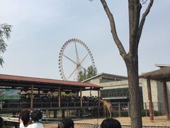 -石家庄市动物园