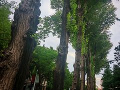 -吉林大学(前卫南校区)