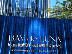 -深圳湾万象城(南山店)