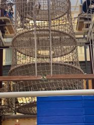 -PIPIKINGDOM皮皮王国欢乐号(欢乐海岸购物中心店)