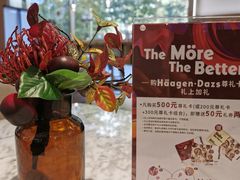 -哈根达斯(西安北郊店)