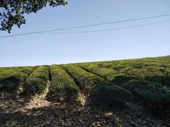-敬亭山风景名胜区