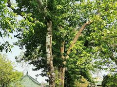 -国家图书馆·古籍馆