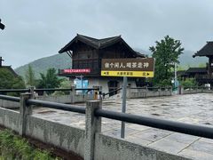-大唐贡茶院