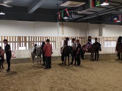 -李振强马术运动推广中心(南城店)