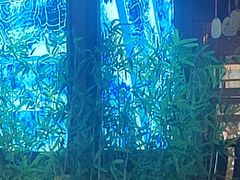 -桥香园过桥米线(国贸店)