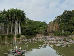 -中国科学院西双版纳热带植物园