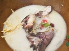 鮰鱼-云中鱼蒸汽石锅鱼(川沙百联店)