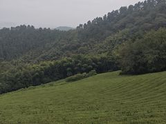 -敬亭山风景名胜区