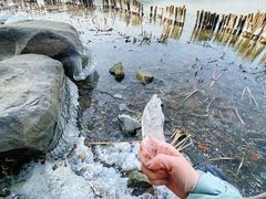 -长广溪湿地公园