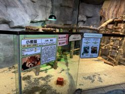 -Zoolung Zoolung动物主题公园(海信广场店)