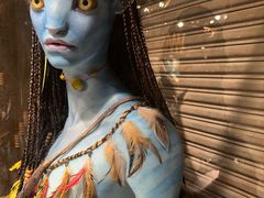 -奥兰多迪士尼动物王国乐园