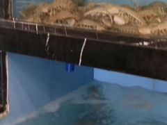 -壹号港海鲜酒楼