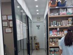 -四月宠物医院·猫专科·心脏专科·内科(转塘店)