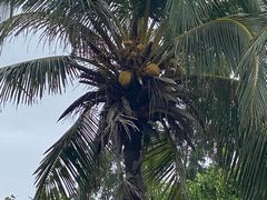 -白沙门生态公园