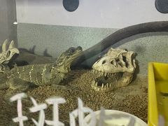-嘉兴海底世界
