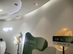 -agge蛋白医美
