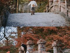 -田野绿世界
