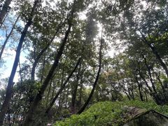 -寂照庵