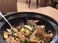 -永記粤菜·五指毛桃花雕鸡煲(九亭店)