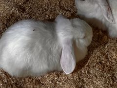 -上海大自然野生昆虫馆