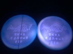 -白鹤梁水下博物馆