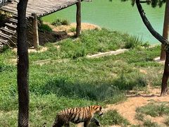 -西霞口神雕山野生动物世界