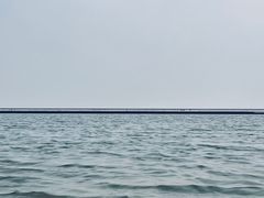-碧海金沙