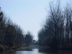 -合肥滨湖国家森林公园